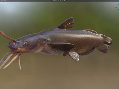 Черная рыба Мадтом 3D Модель