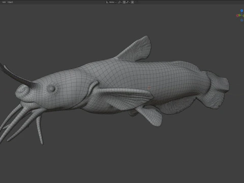Black Madtom fish 3D Model