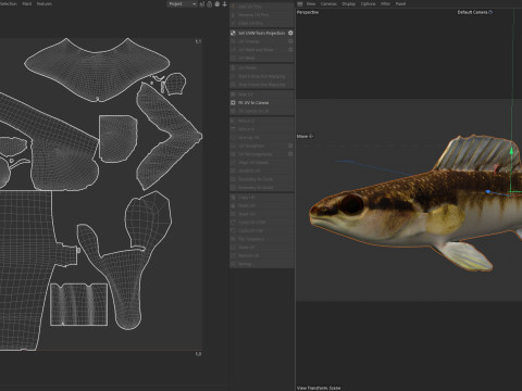 ブラックバンドダーターフィッシュ 3Dモデル