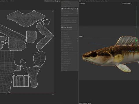 Blackbanded Darter fish 3D Model