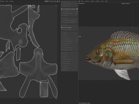 ब्लैकचिन तिलापिया मछली 3D मॉडल