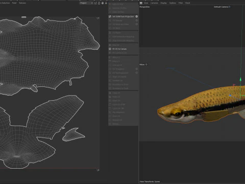 Pez Topminnow con manchas negras Modelo 3D