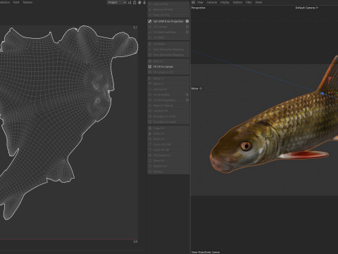 Blacktail Redhorse fish 3D Model
