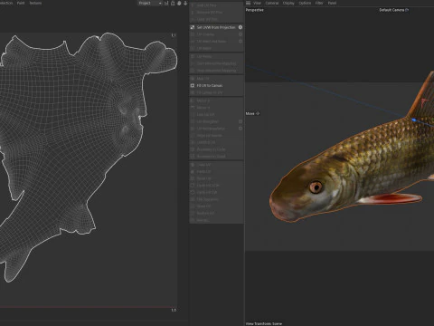 Blacktail Redhorse fish 3D Model