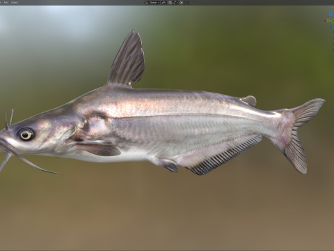 Рыба синий сом 3D Модель