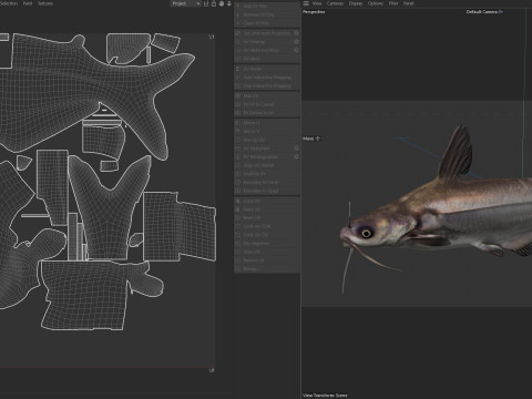 Рыба синий сом 3D Модель