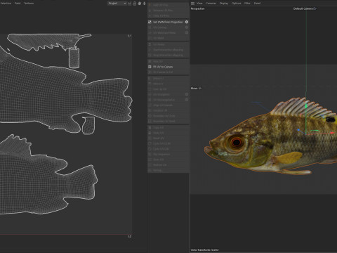 Голубая рыба Тилапия 3D Модель