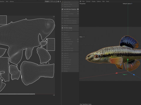 Blauwvintonijn Killifish vis 3D Model