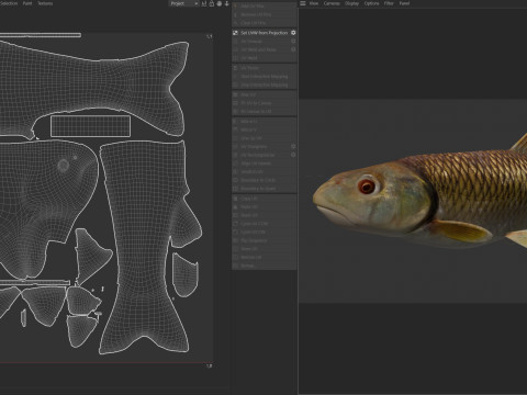 Голубоголовый голавль 3D Модель