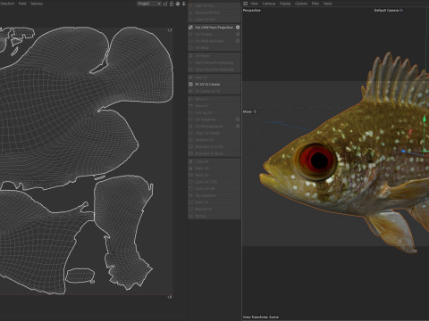 アオマンボウ 3Dモデル