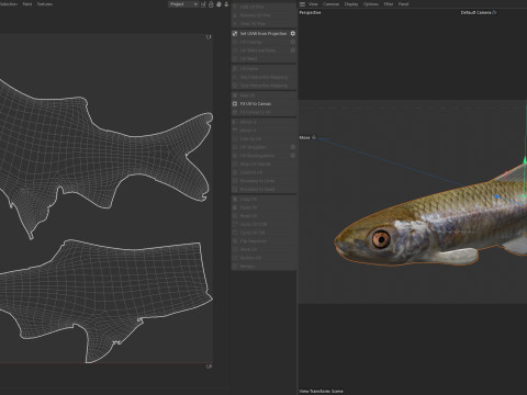 Peixe Shiner Bluestripe Modelo 3D