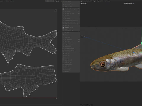 Bluestripe Shiner fish 3D Model