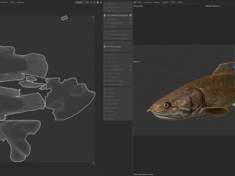 Bowfin Amia calva 1 3D Model