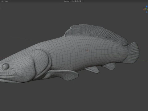 Bowfin Amia calva 1 3D Model