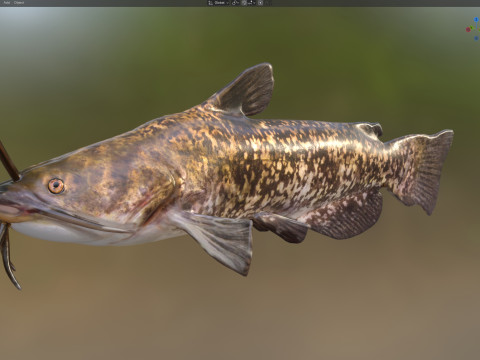 Bruine Bullhead-vis 3D Model