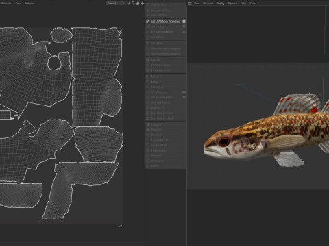 Bruine Darter-vis 3D Model