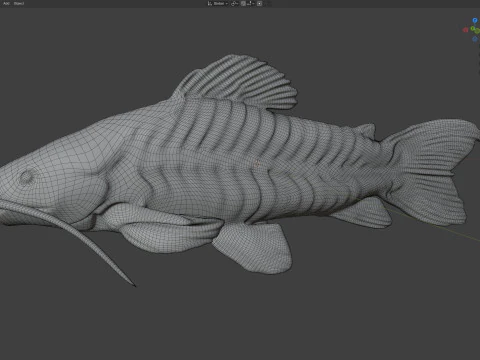 भूरी हॉपलो मछली 3D मॉडल