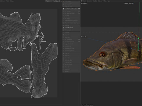 Рыба-бабочка-павлин-бас 3D Модель
