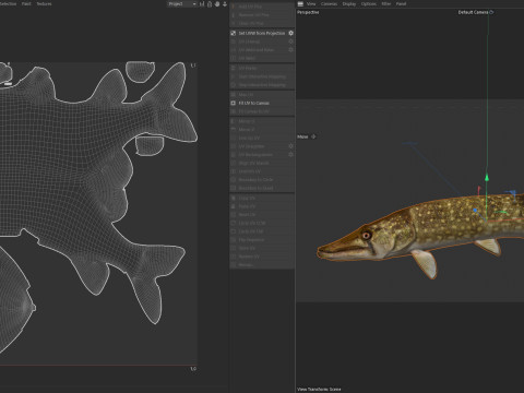 Peixe Pickerel de corrente Modelo 3D