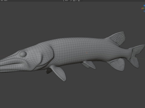 Peixe Pickerel de corrente Modelo 3D
