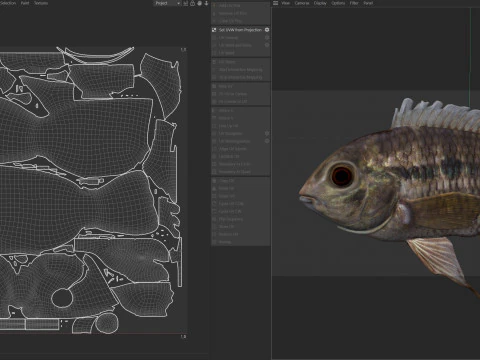 Chanchita fish 3D Model