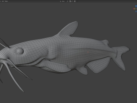 Channel Catfish 3D Model