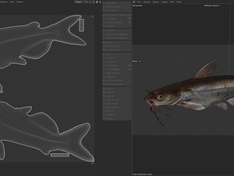 Channel Catfish 3D Model