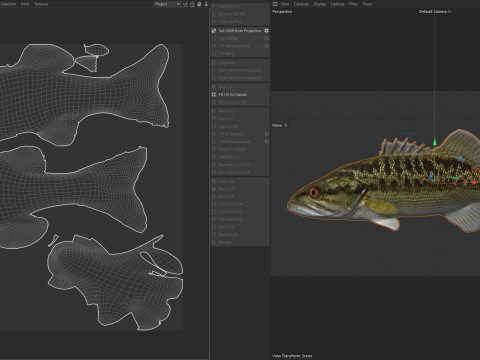 乔克托巴斯鱼 3D 模型