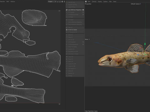 Choctawhatchee Darter fish 3D Model