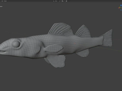 Choctawhatchee Darter fish 3D Model