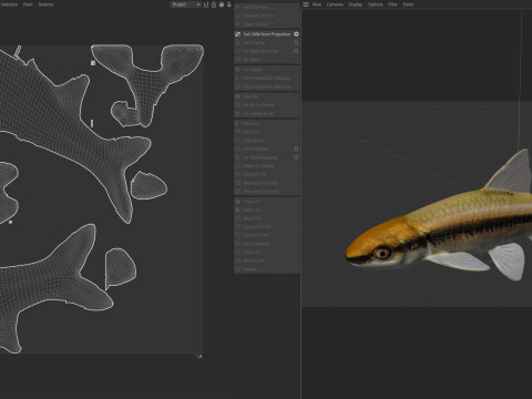 Прозрачный голавль 3D Модель