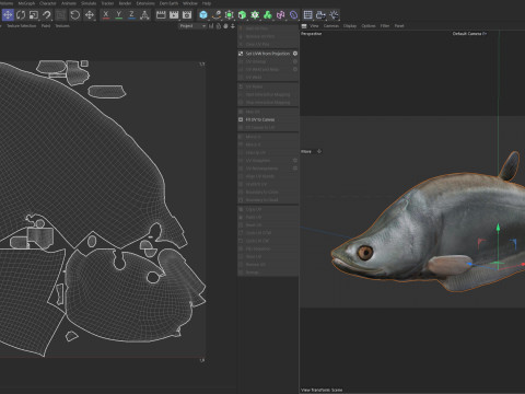 Рыба-клоун-нож 1 3D Модель