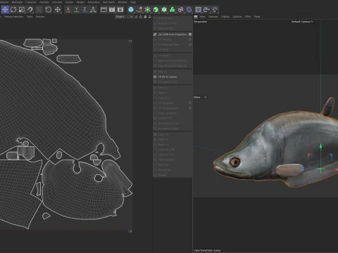Clown Knifefish 1 3D Model