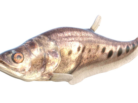 Рыба-клоун-нож 3 3D Модель