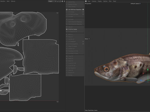 Рыба-клоун-нож 3 3D Модель
