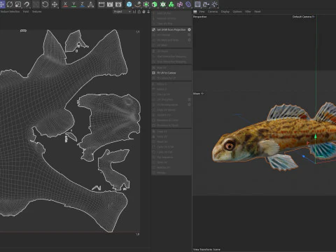 Coastal Darter fish 1 3D Model