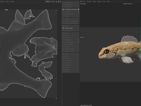 沿海鲈鱼2 3D 模型