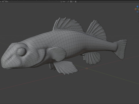 沿海鲈鱼2 3D 模型