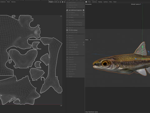 Coastal Shiner fish 3D Model