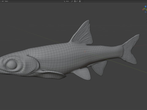 沿海闪光鱼 3D 模型