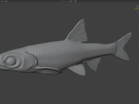 Coastal Shiner fish 3D Model