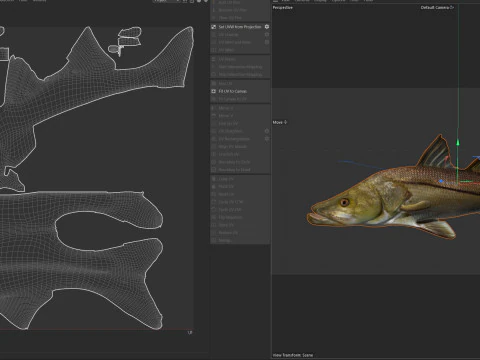 Ortak Snook balığı 3D Model