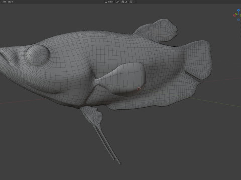 嘎嘎叫的古拉米鱼 3D 模型