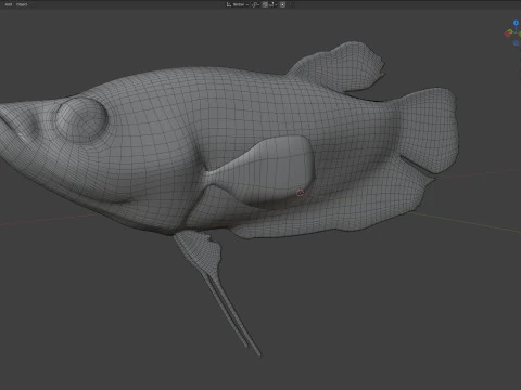Croaking Gourami fish 3D Model
