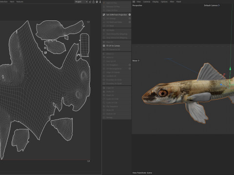 水晶鲈鱼 3D 模型