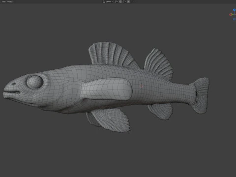 Ryba cyprysowa Darter Model 3D