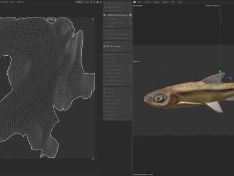 साइप्रस मिनो मछली 3D मॉडल