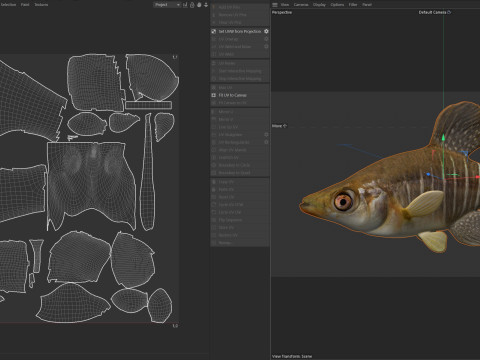 Killifish diamante Modello 3D