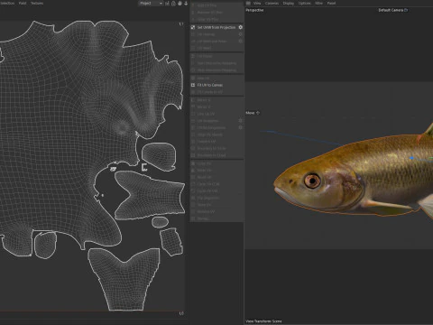 Pesce Dixie Cavedano Modello 3D