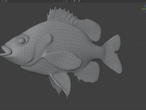 美元翻车鱼 3D 模型